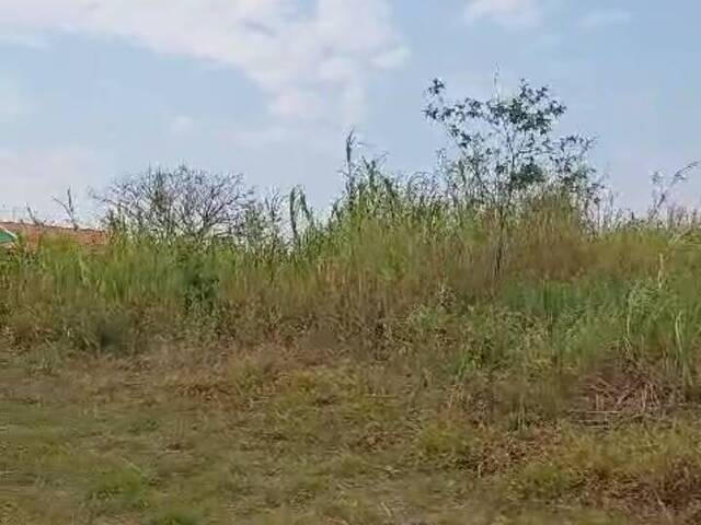 Chácara para Venda em São Pedro - 1
