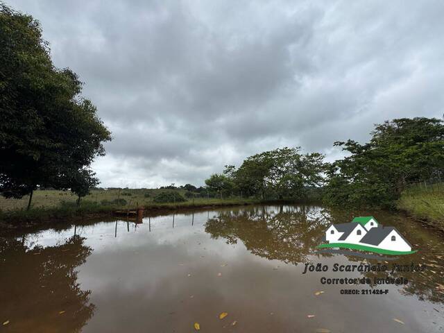 #ST 40 - Sítio para Venda em São Pedro - SP