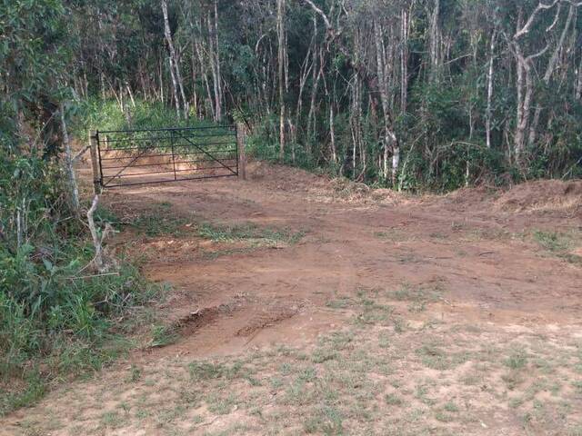 #AR 05 - Área para Venda em Liberdade - MG - 2