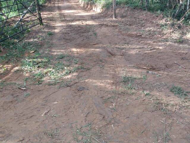 #AR 05 - Área para Venda em Liberdade - MG - 3