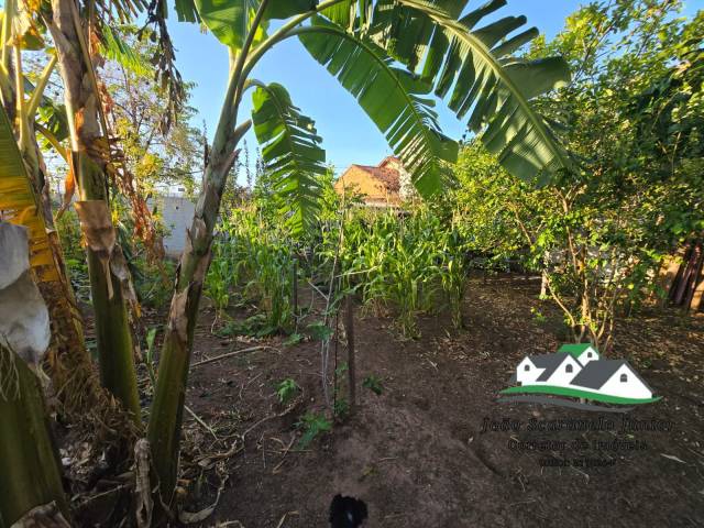 #377 - Casa para Venda em São Pedro - SP - 3