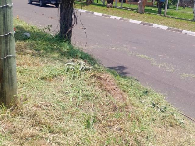 Chácara para Venda em São Pedro - 2