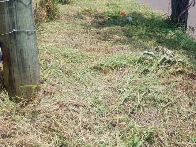 Chácara para Venda em São Pedro - 3