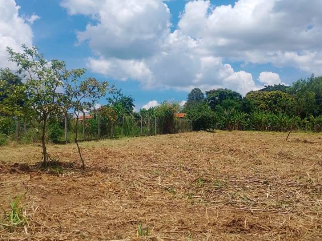 Chácara para Venda em São Pedro - 4