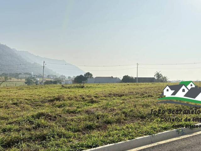 Terreno para Venda em São Pedro - 2