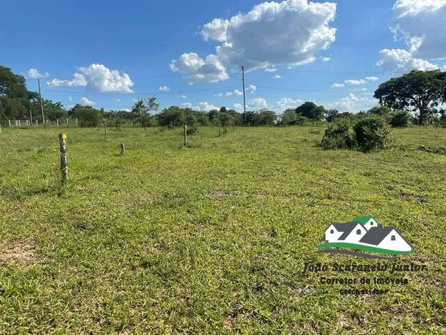 Terreno para Venda em São Pedro - 3
